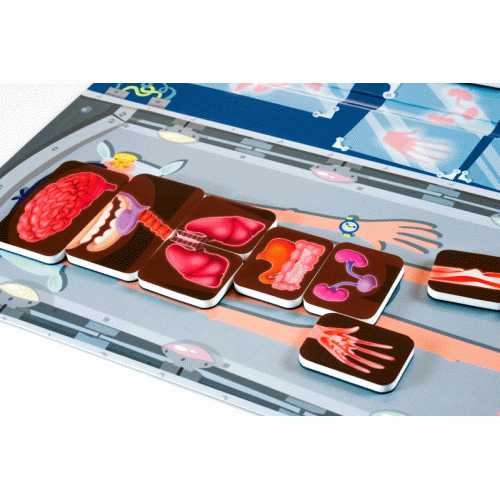 Miniland – Stem by Step
