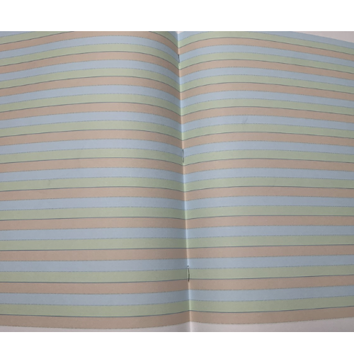 Ground, Grass, Sky Coloured Paper Exercise Books